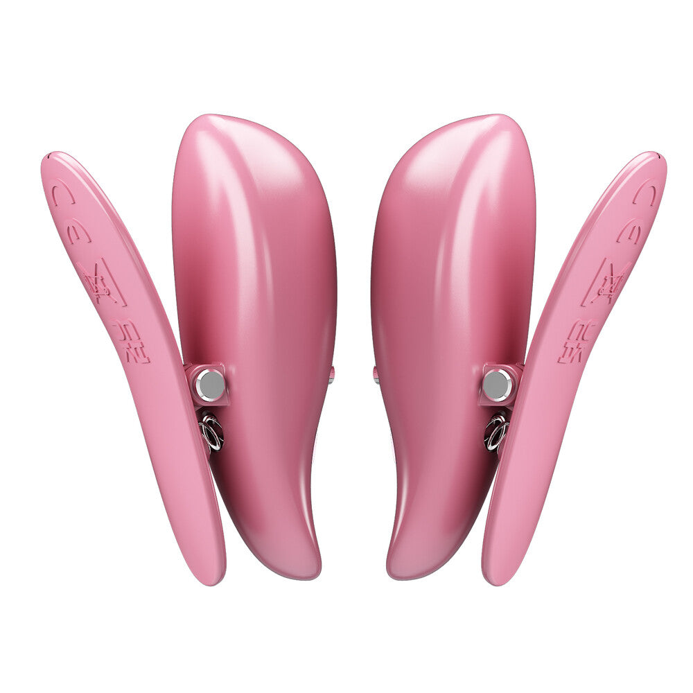 Pinzette Per Capezzoli Vibranti Cayley