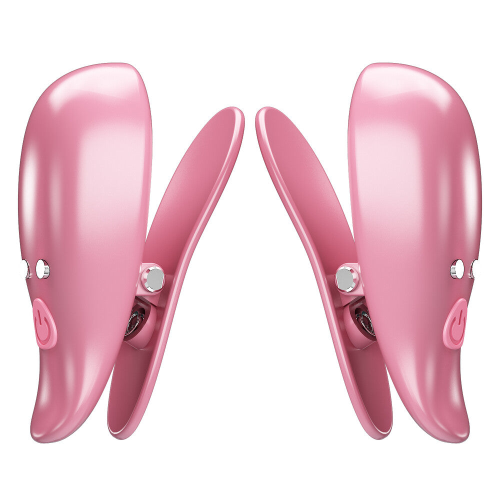 Pinzette Per Capezzoli Vibranti Cayley