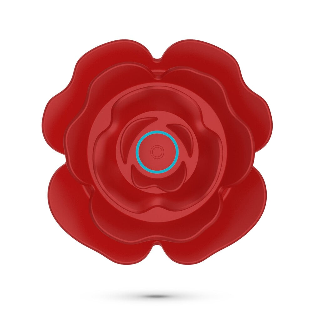 Vibratore Anale Rosaline